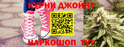 прущие грибы Канаш