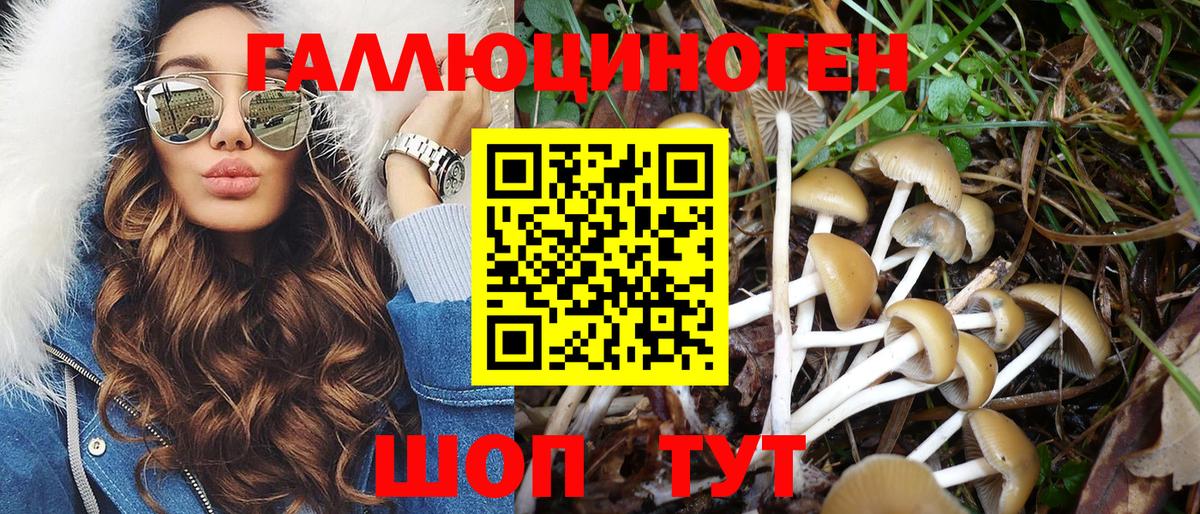 Галлюциногенные грибы ЛСД  Вход с VPN  Кудымкар 