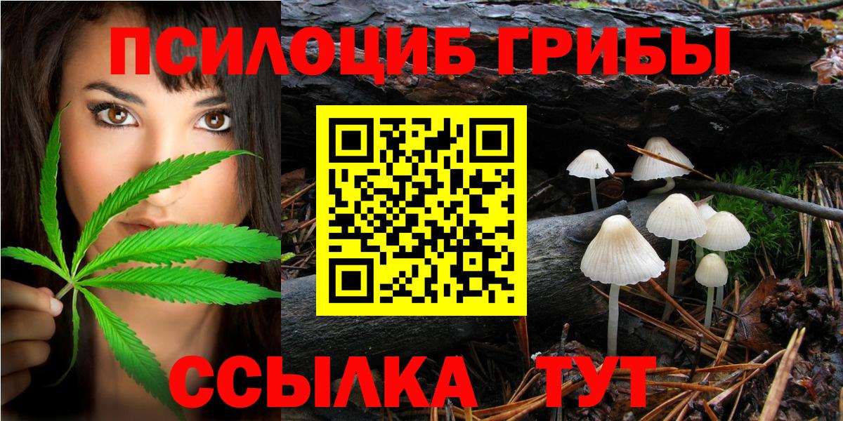 Псилоцибиновые грибы MAGIC MUSHROOMS Кудымкар